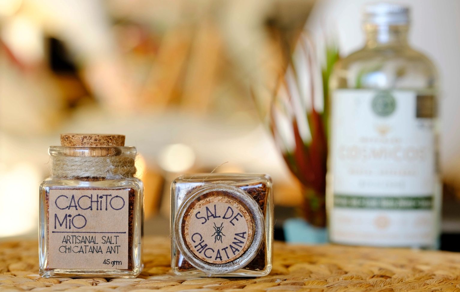 Cachito Mio edible insect salt product